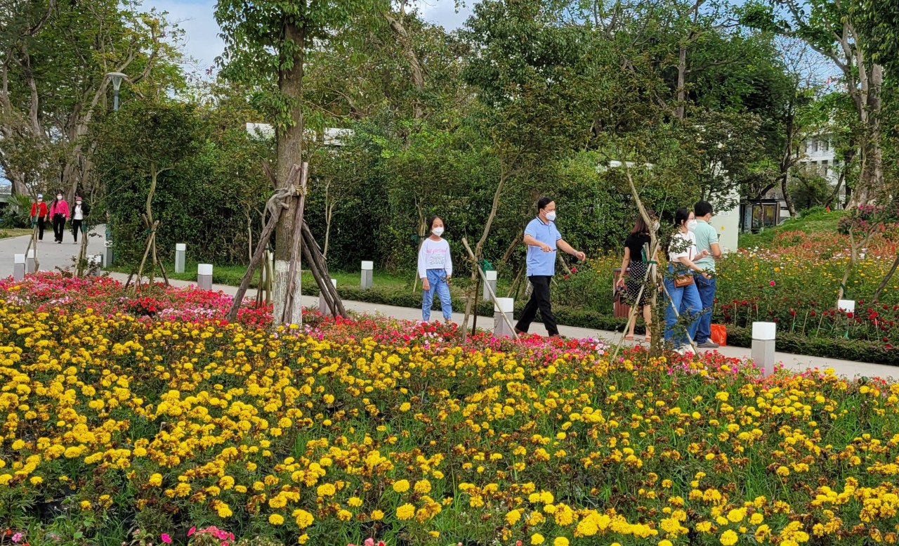 TP Huế tổ chức Hội Xuân và Chợ hoa Tết Quý Mão 2023