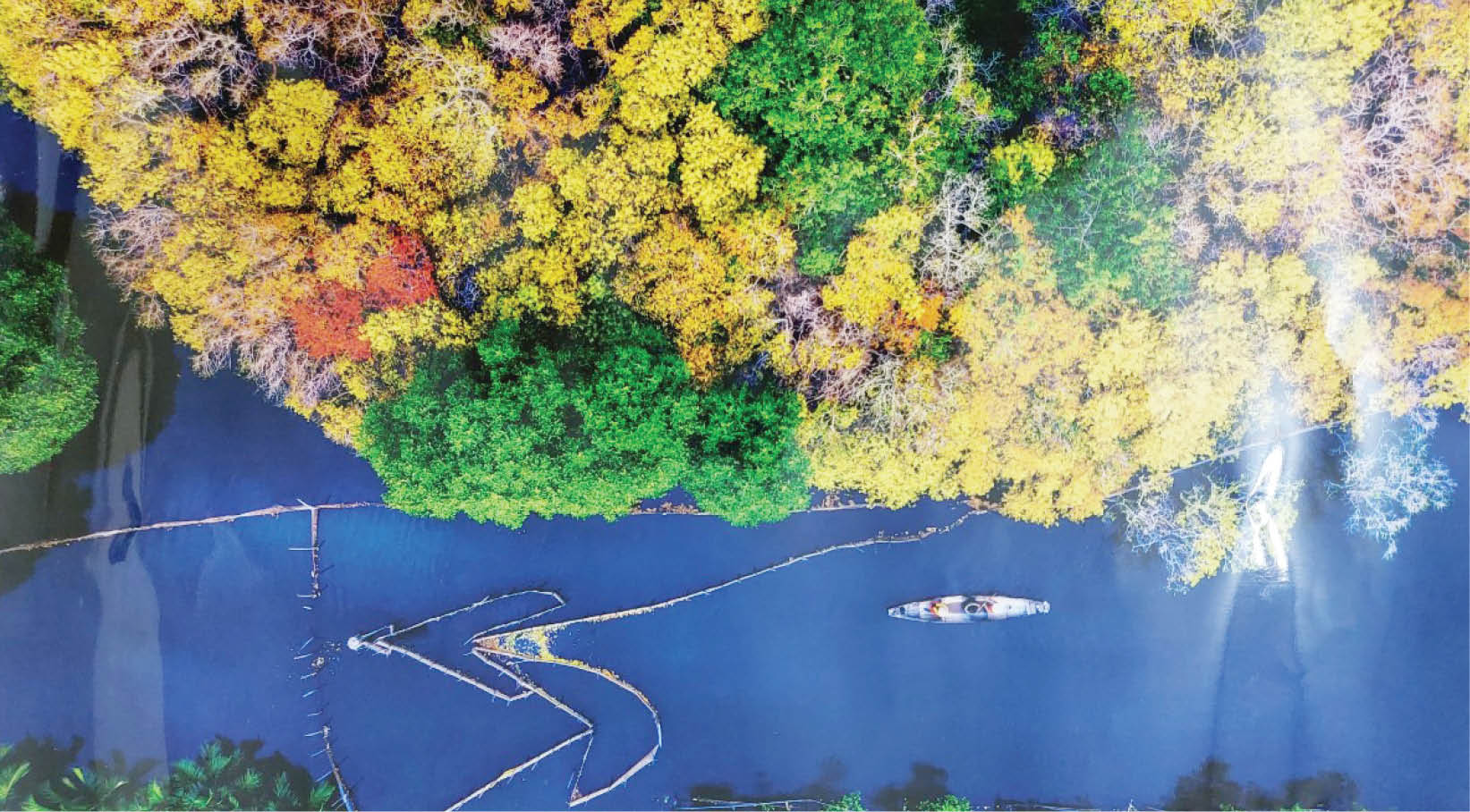 Mỹ học sáng tạo - kết quả song hành giữa cuộc sống và nghệ thuật