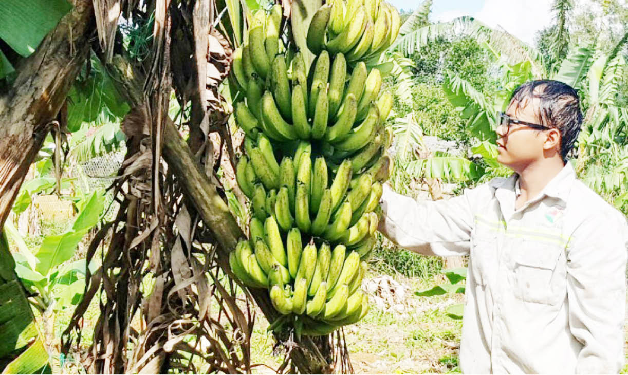 Hồng Bắc vươn lên thoát nghèo