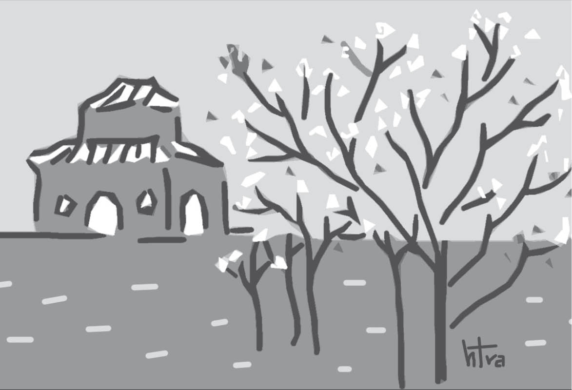 Hoa mai trong tiết đông