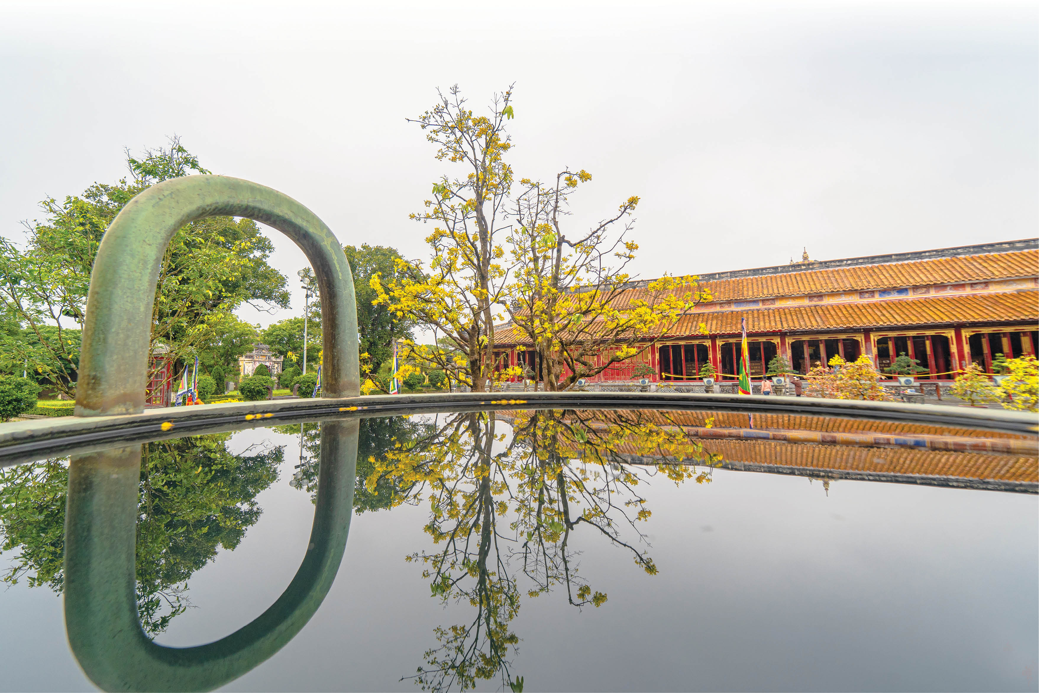 Gặp Huế mùa vàng mai