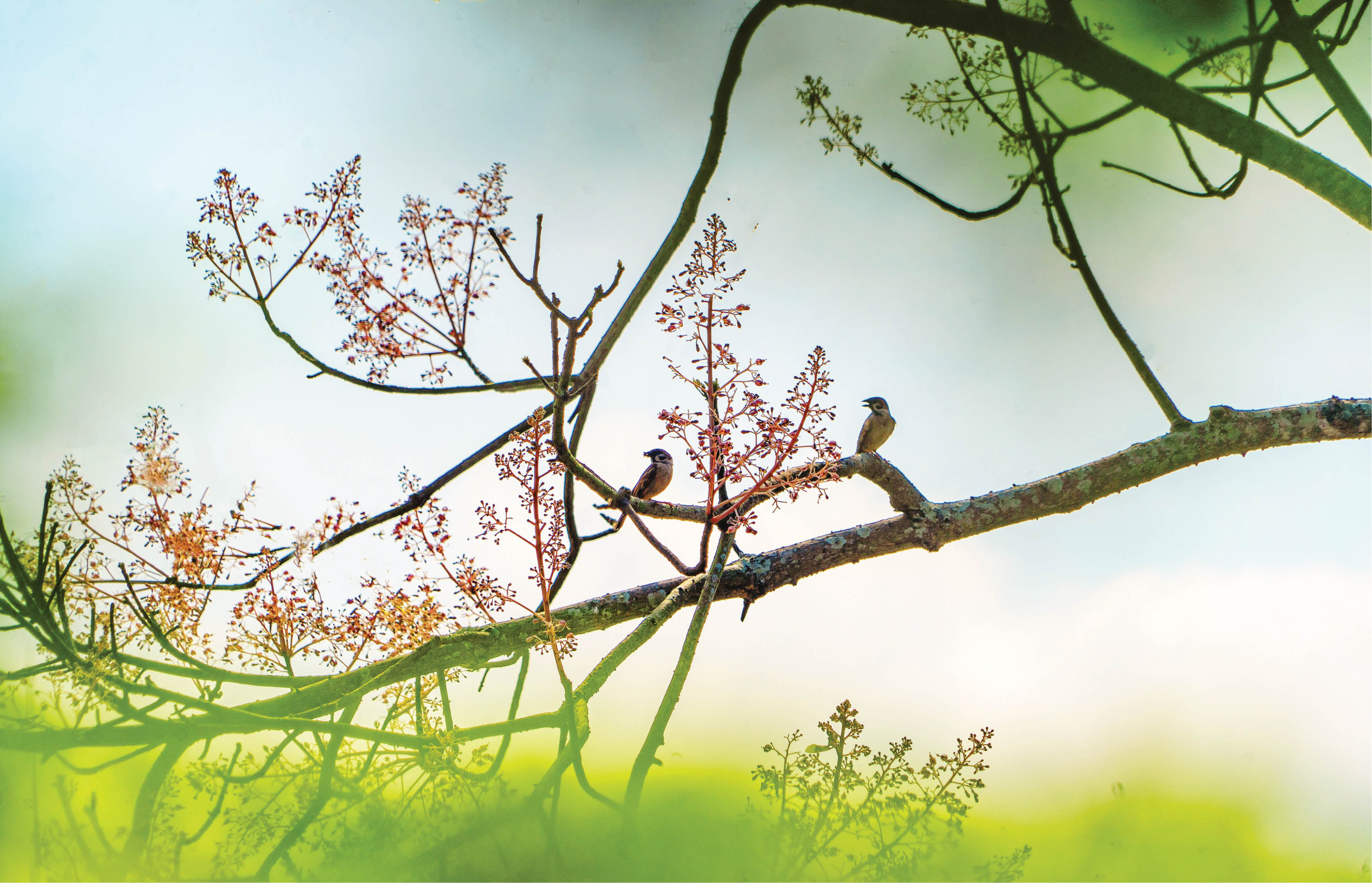 Chữa lành “by Hue”