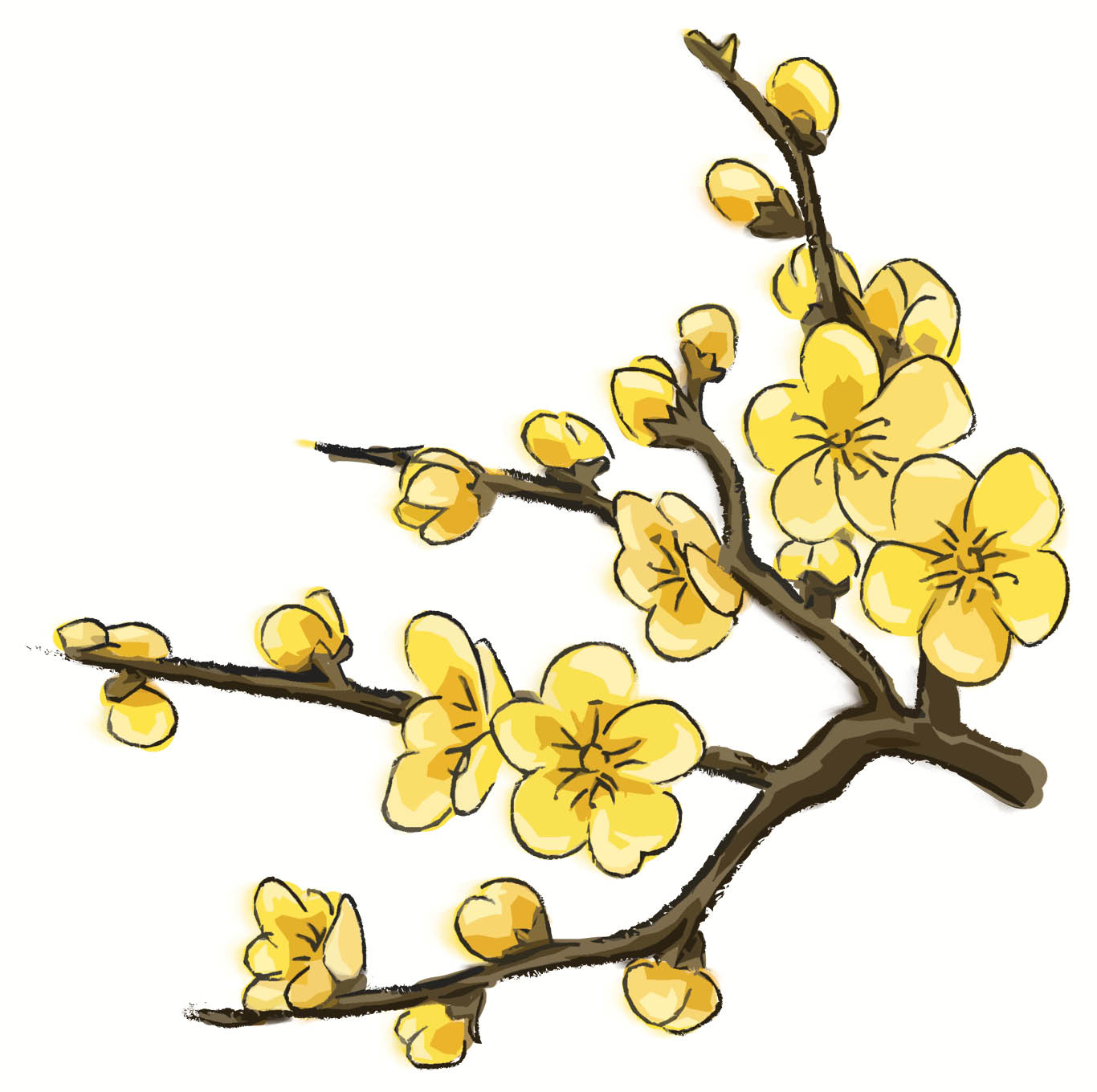 Huế cổ kính nhưng mới mẻ và bất ngờ