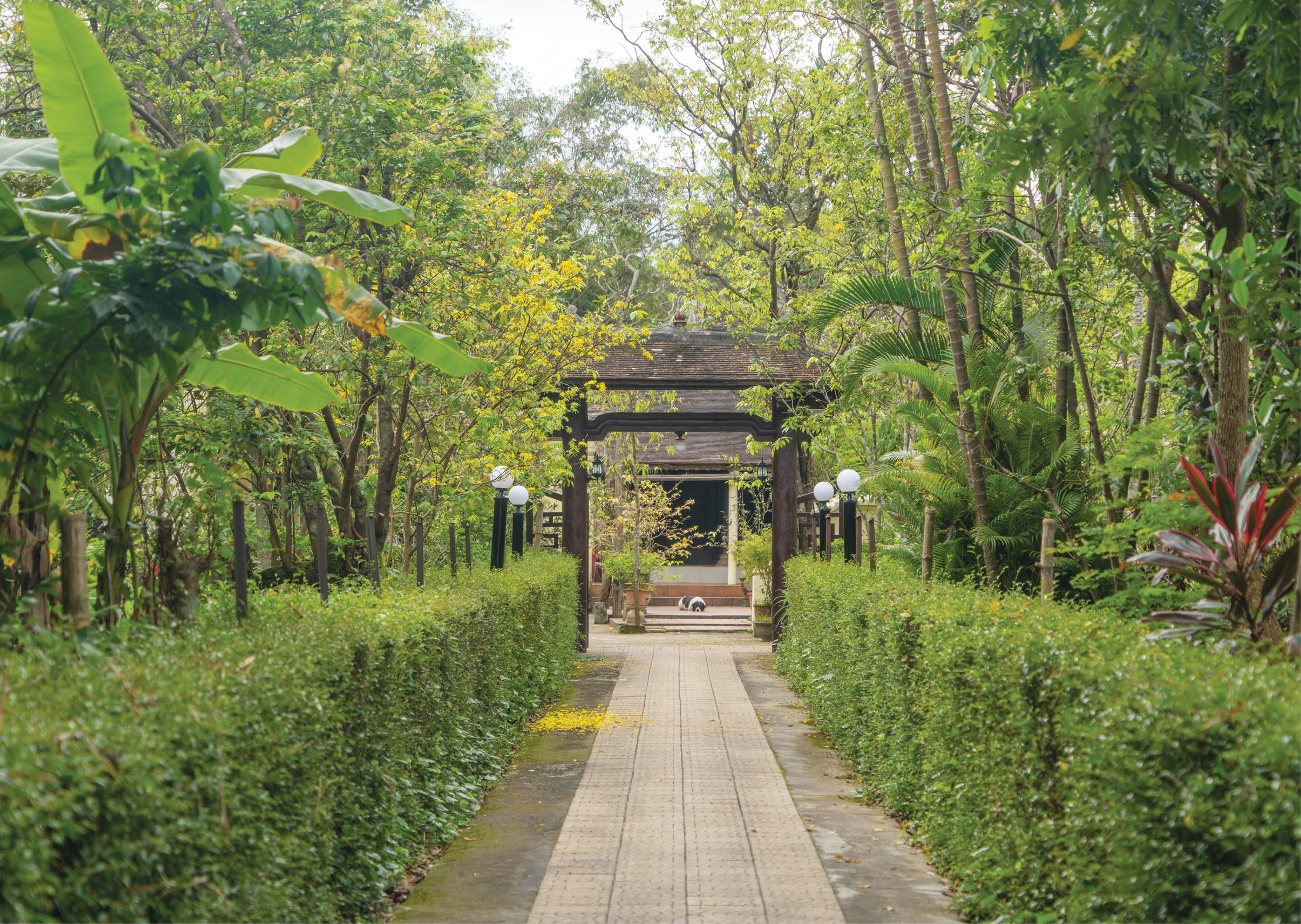 Nghĩ về danh xưng Huế của tôi