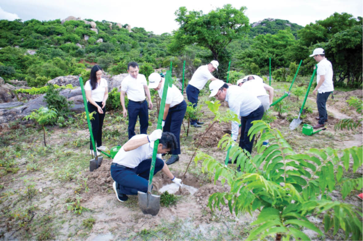 Panasonic “góp xanh” ở Huế