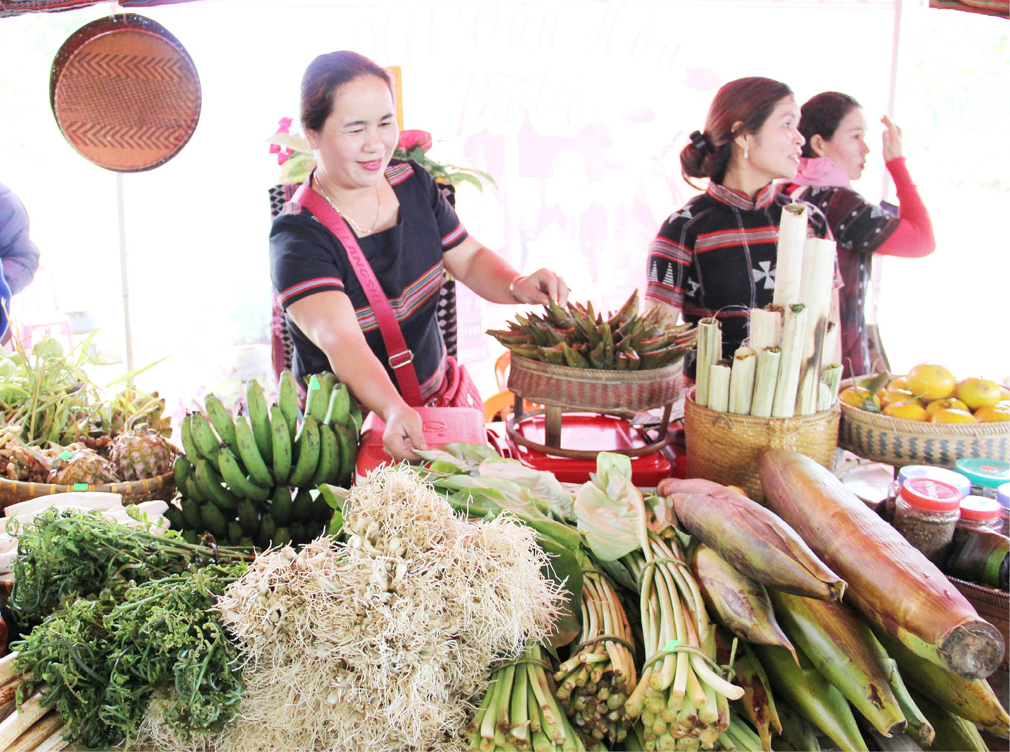 Rộn rã mùa xuân trên biên cương