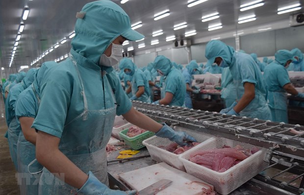 Dự báo lợi nhuận doanh nghiệp thủy sản giảm trong năm 2023