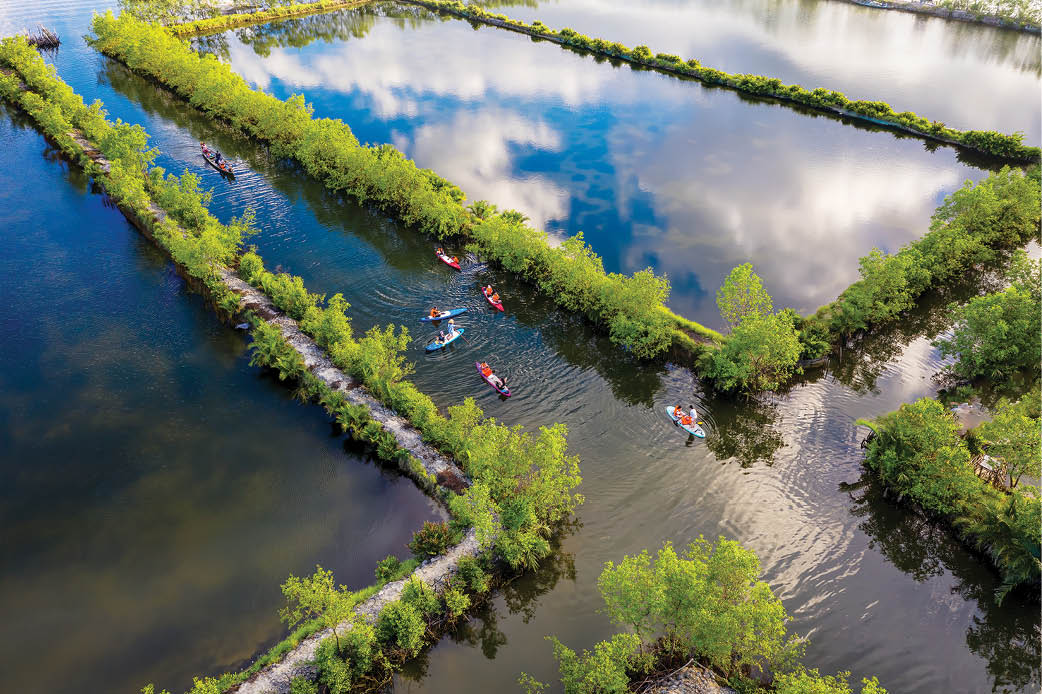 Ký ức đồng chiêm