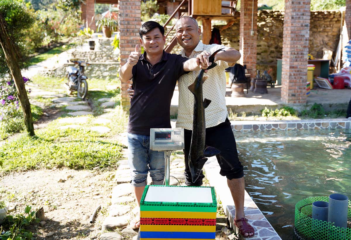 Thăm trại nuôi cá tầm Siberi ở A Lưới