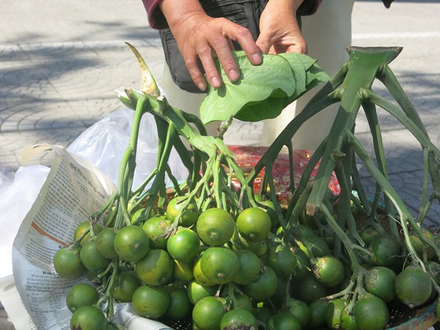 Mua lộc đầu năm