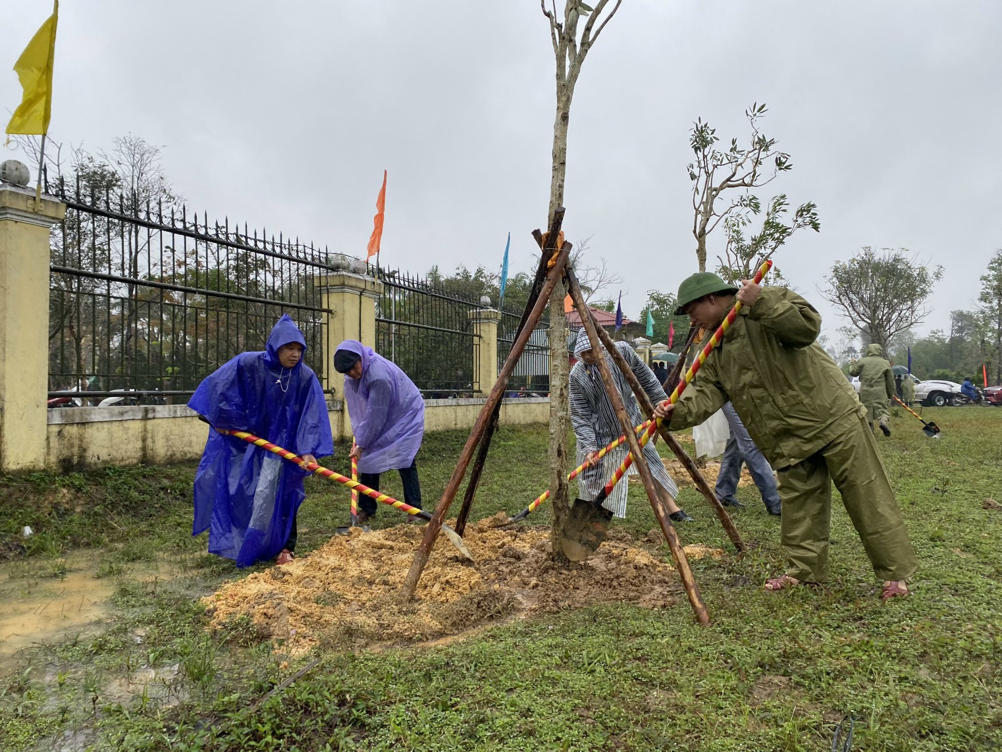 Hương Trà, Phong Điền phát động Tết trồng cây