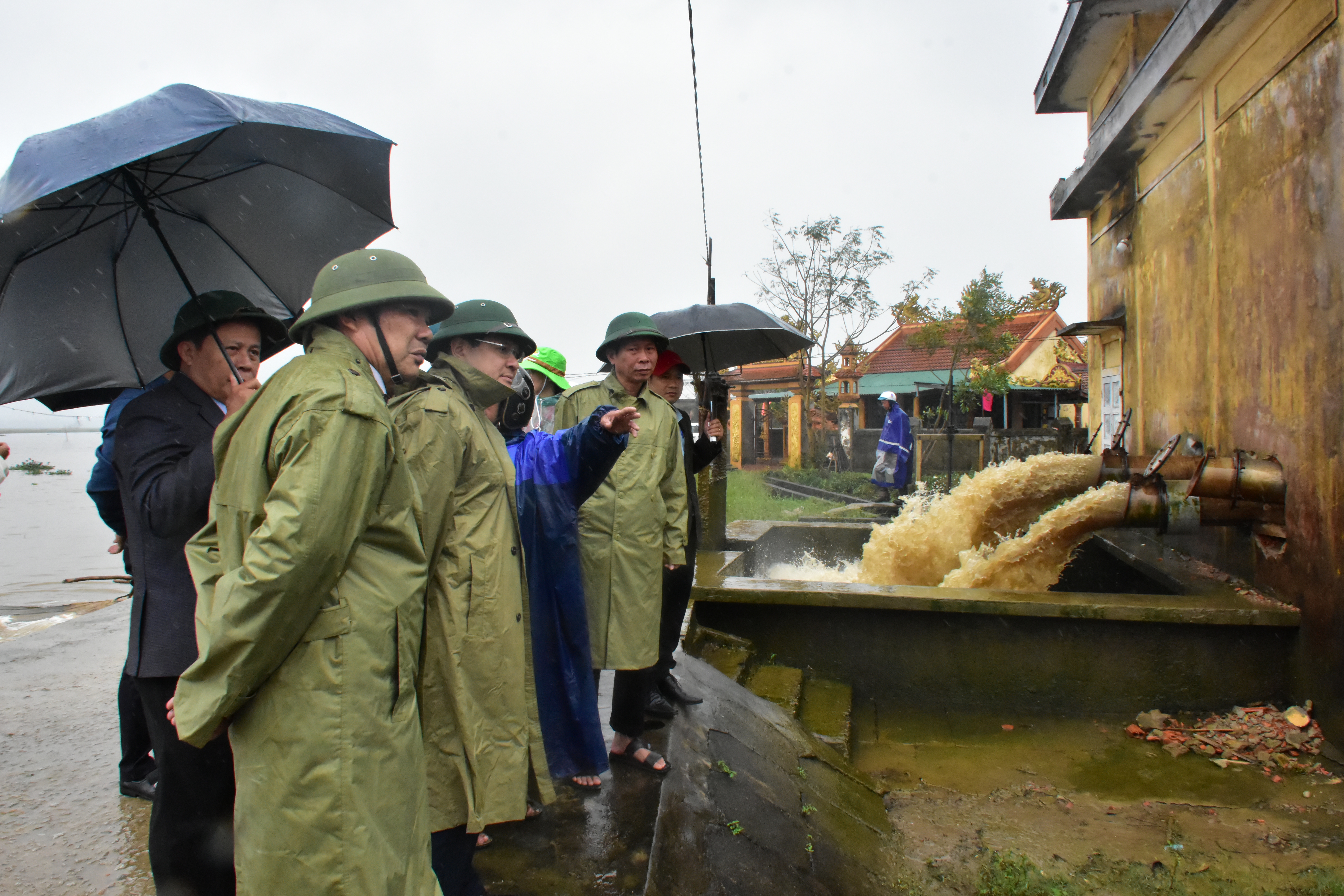 Tập trung tiêu úng, khắc phục thiệt hại lúa vụ đông xuân