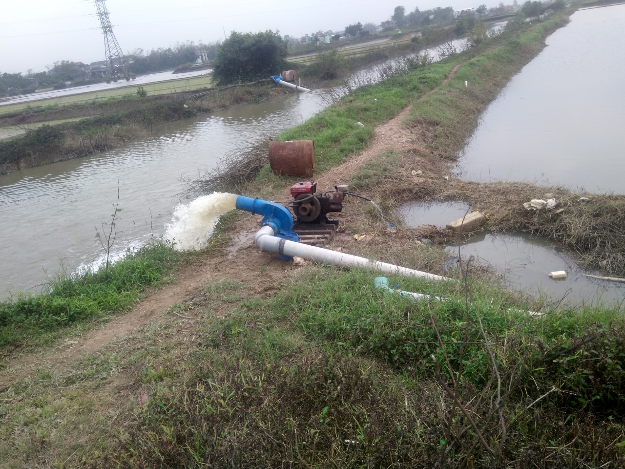 Tiếp tục tiêu úng cho hơn 3 500 ha lúa