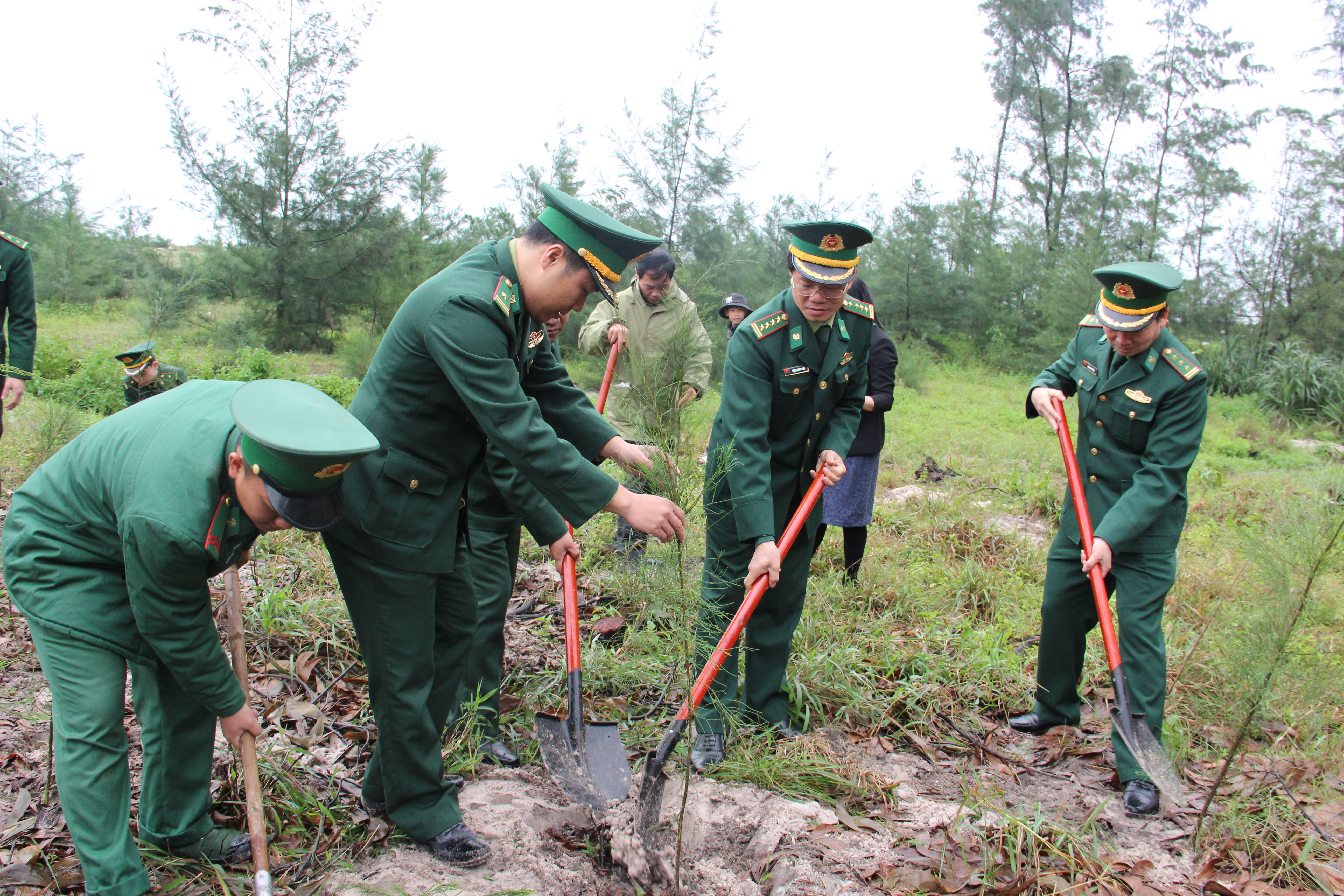 Trồng mới 3000 cây phi lao tại khu vực bãi biển xã Vinh Thanh