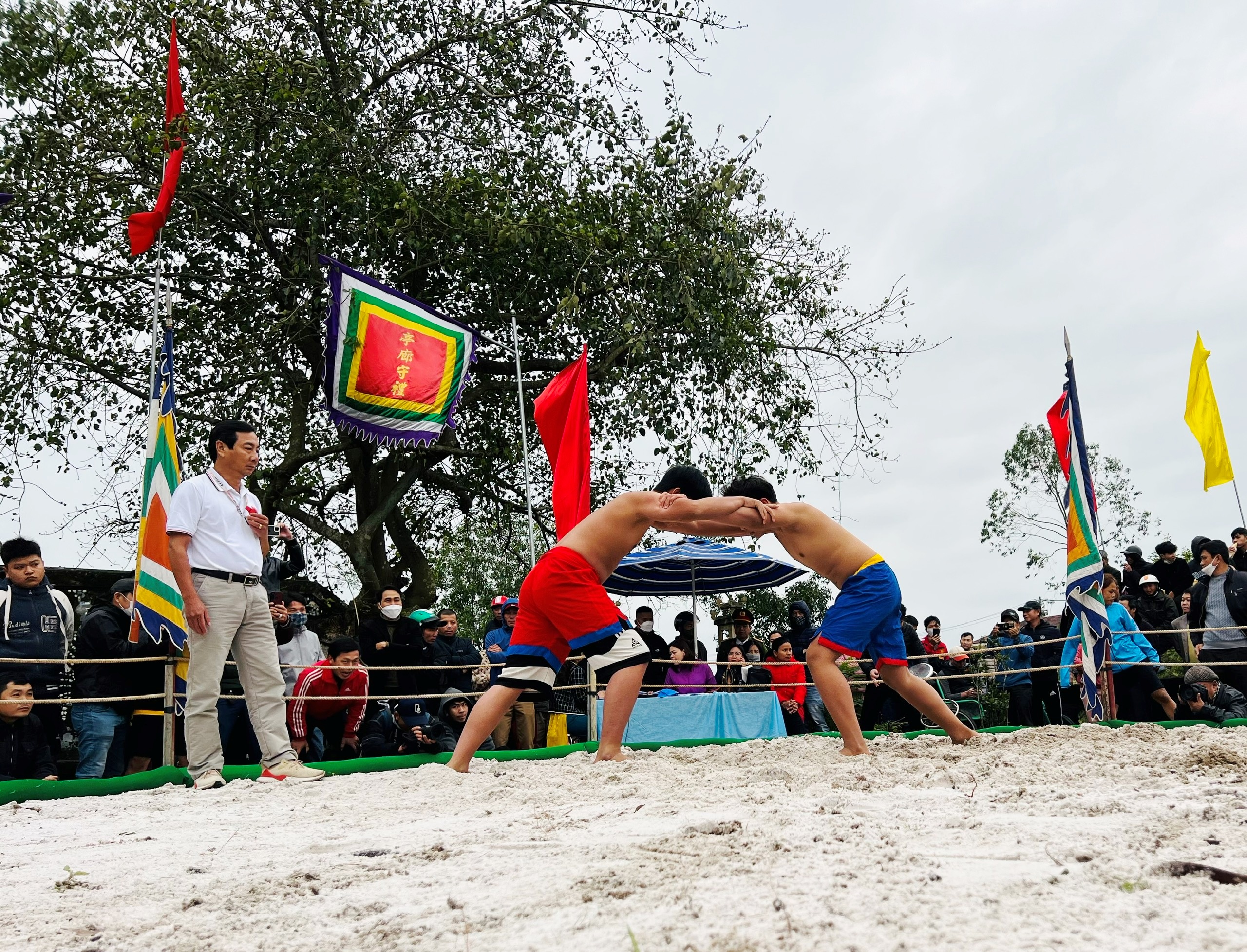 Sôi động sới vật truyền thống làng Thủ Lễ