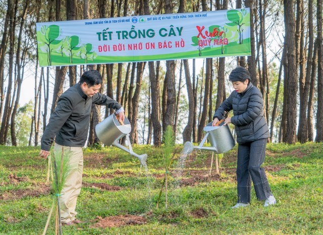 Trồng cây tạo nguồn gỗ quý để trùng tu di tích