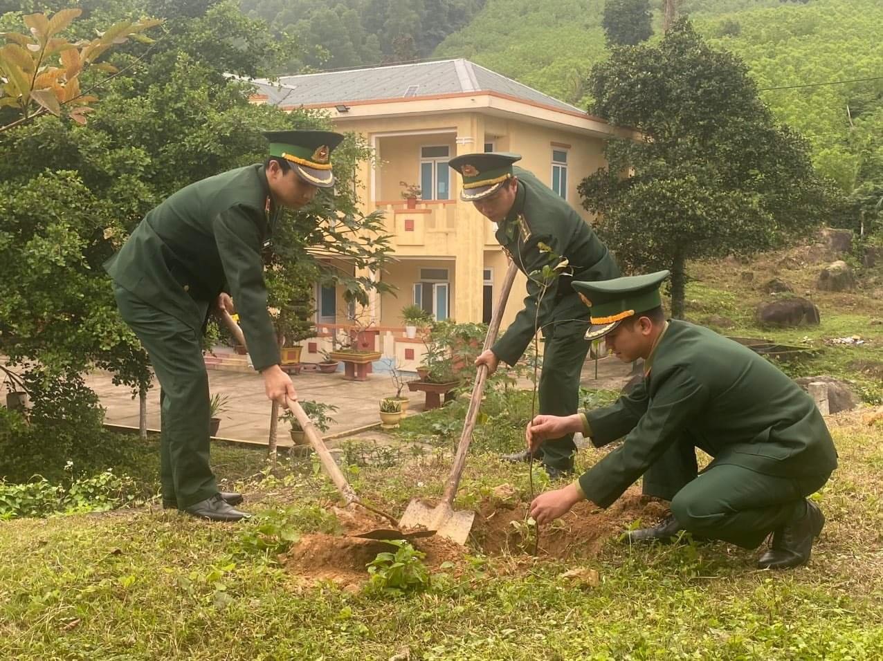 Trồng hàng trăm cây ăn trái, cây tạo cảnh quan