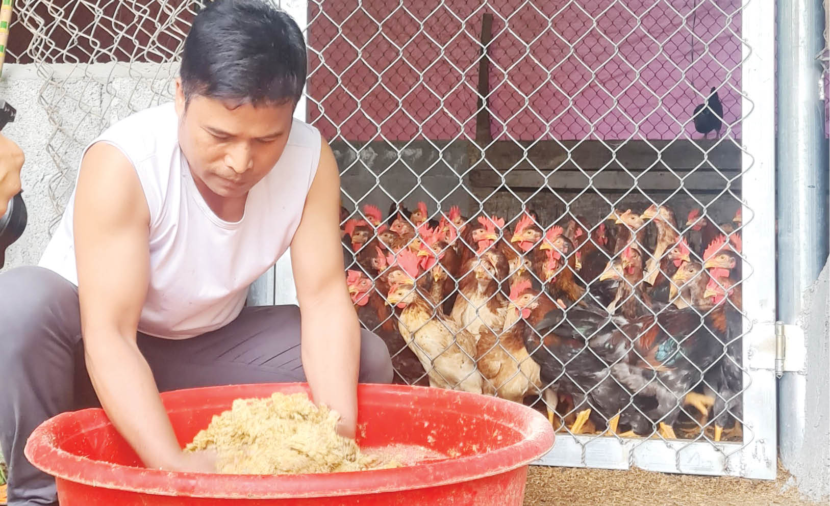 Hiệu quả từ nguồn vốn vay, hỗ trợ nông dân