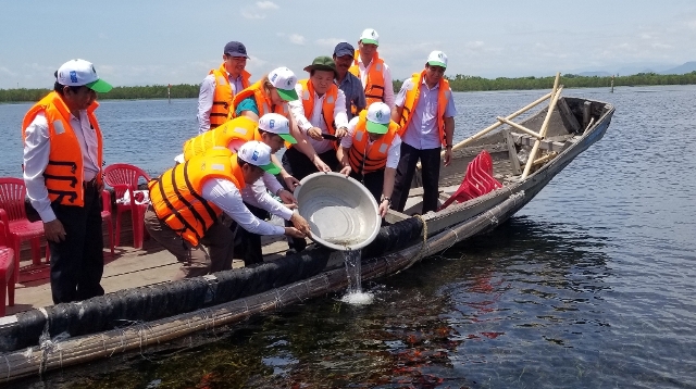 Bảo vệ và phát triển vùng đất ngập nước