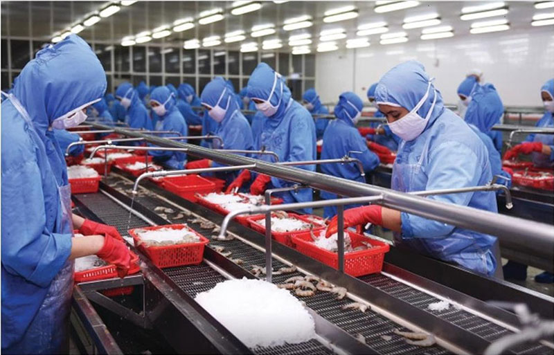 Xuất khẩu thủy sản có hồi phục