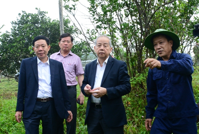 Hương Bình cần phát huy hơn nữa lợi thế vùng gò đồi