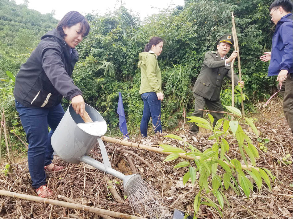 Trồng rừng bản địa đa loài, đa mục tiêu