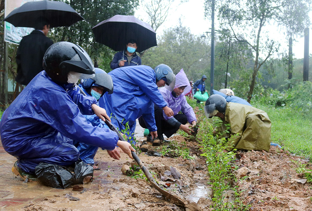 Phát động trồng cây xanh tại làng cổ Phước Tích