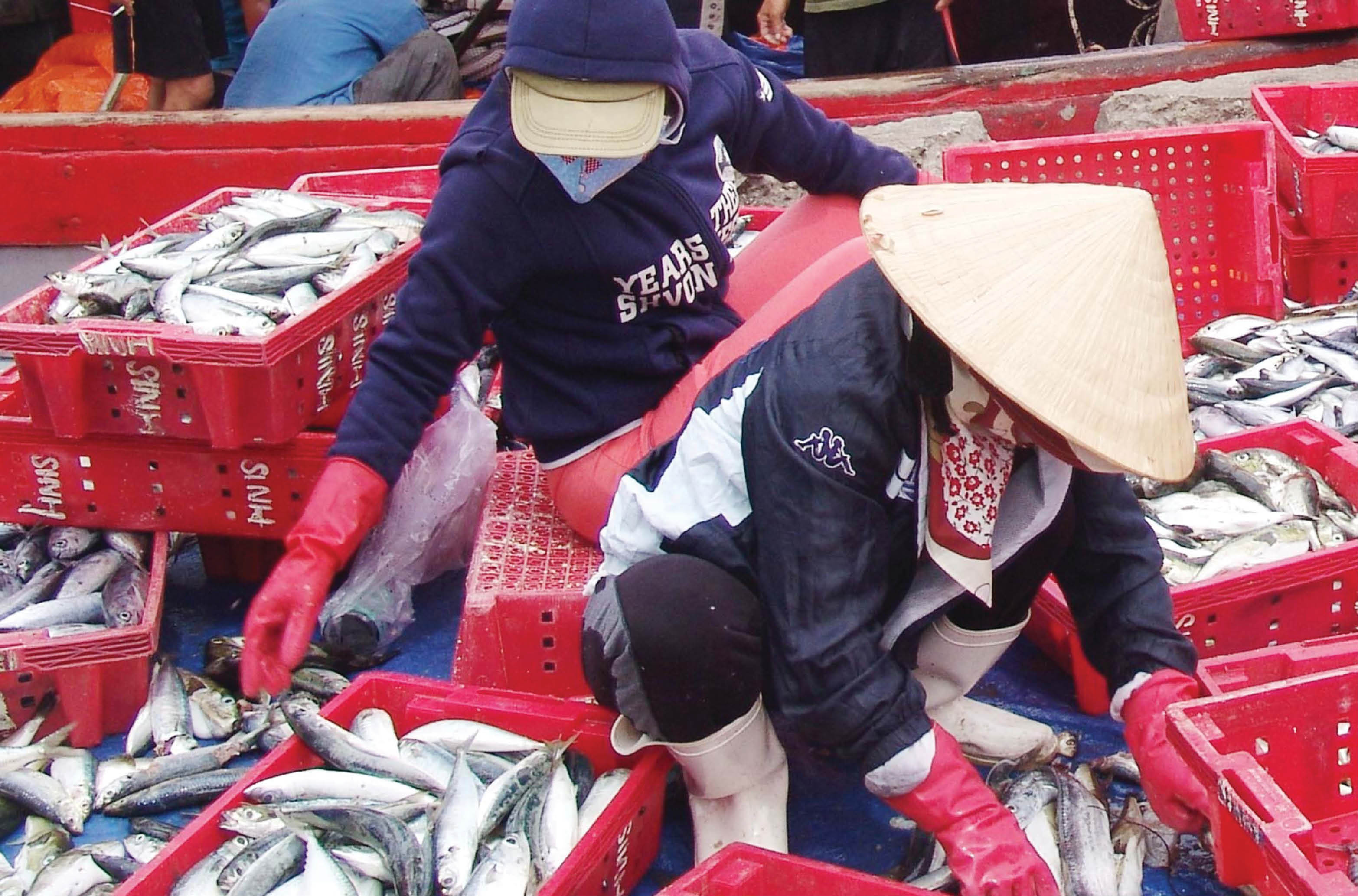 Tự tin vươn khơi