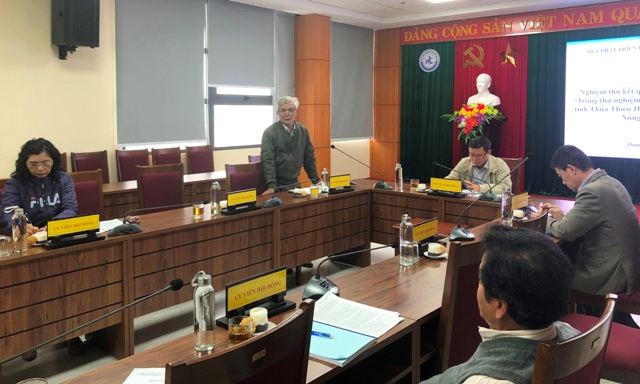 Tín hiệu vui từ mô hình trồng bơ tại huyện Phong Điền