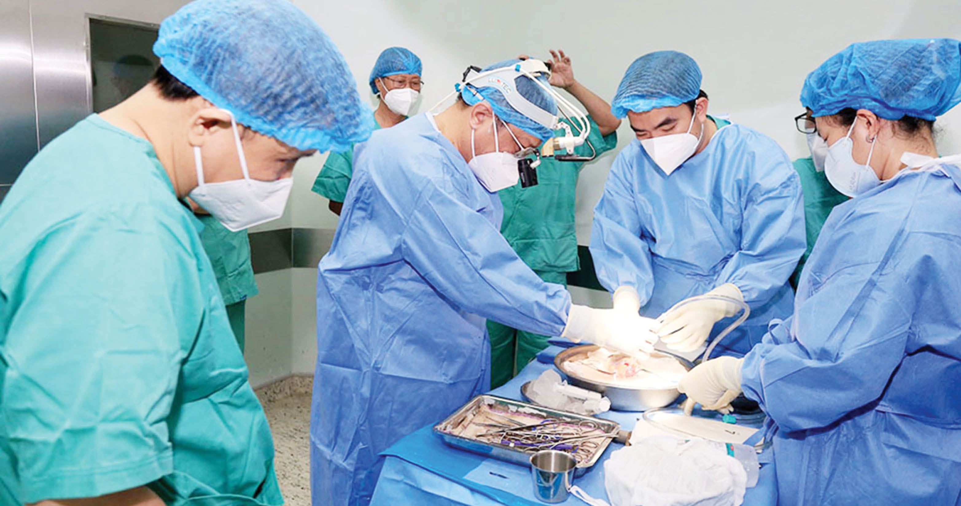 Hồi sinh từ ghép tạng Hành trình không giản đơn