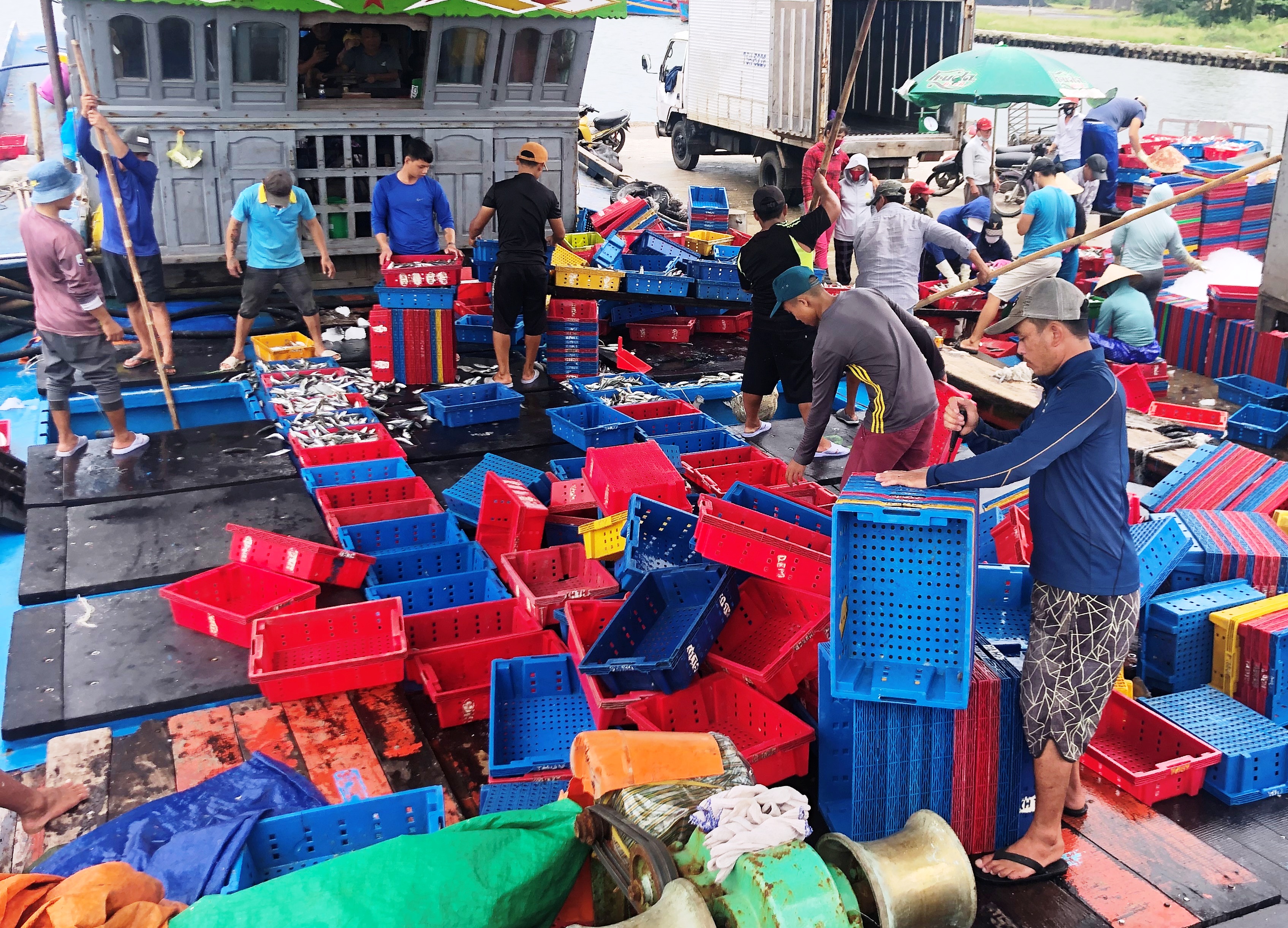 Hành động kịp thời để “thoát” thẻ vàng IUU của EC