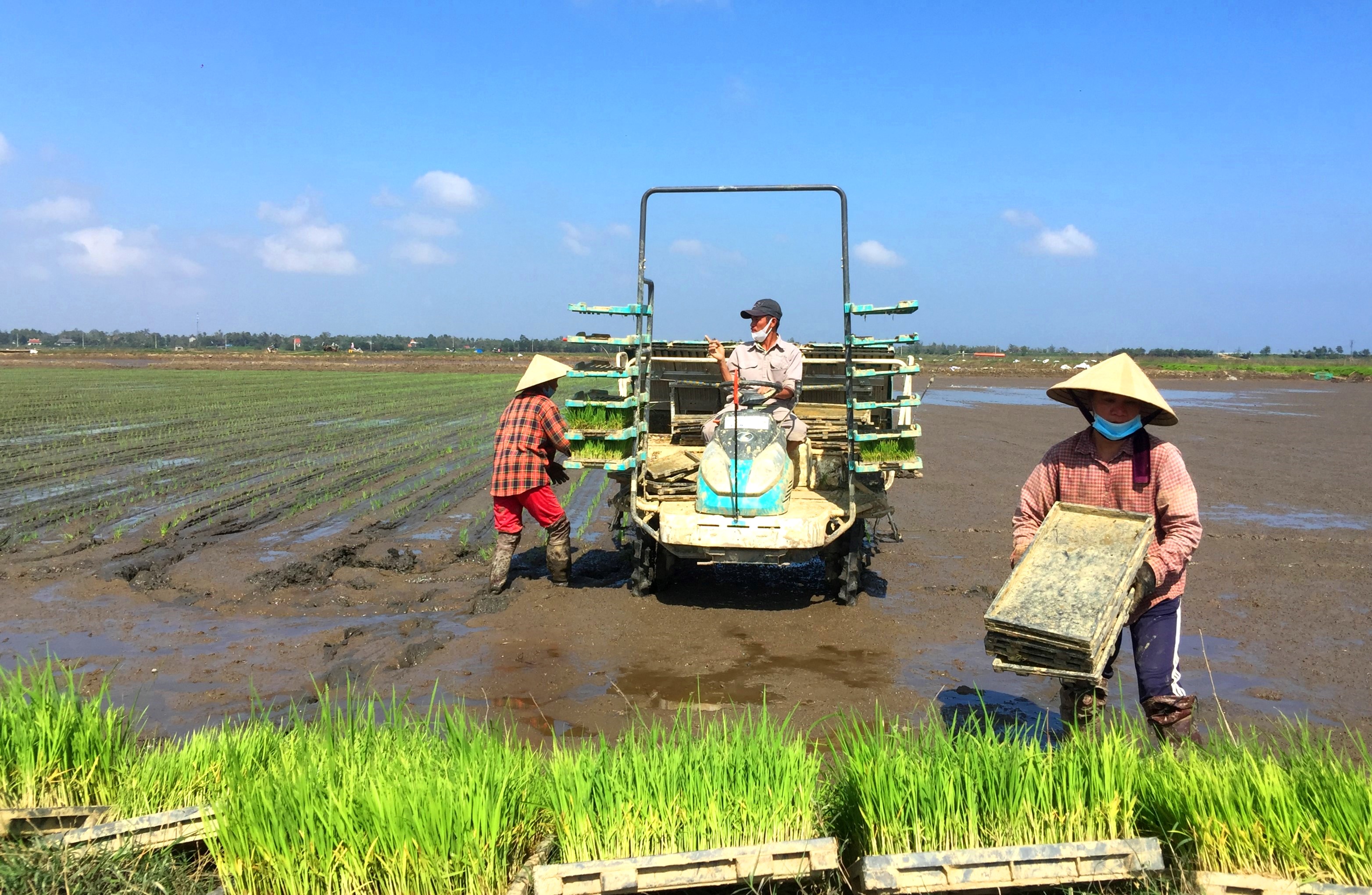 Bảo vệ sức khỏe, môi trường thông qua phát triển nông nghiệp hữu cơ