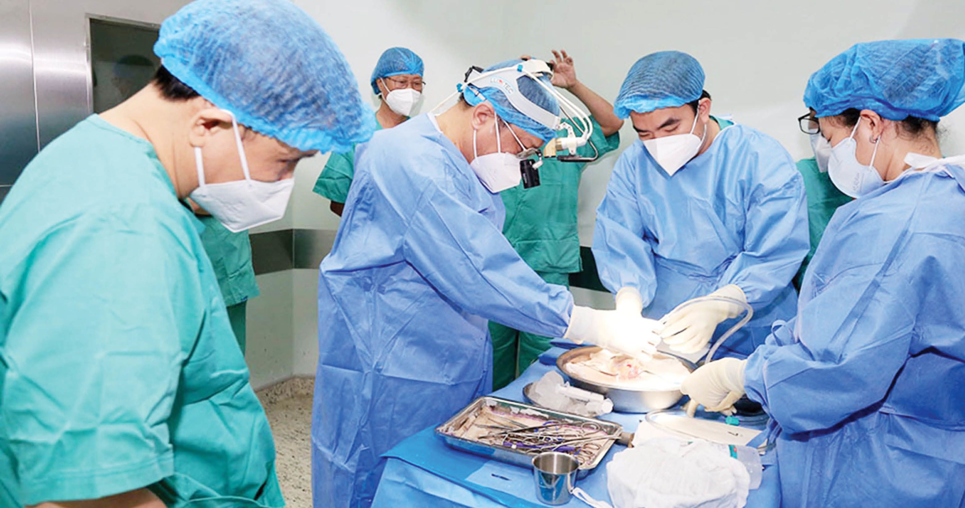 Revive from organ transplants The challenging journey