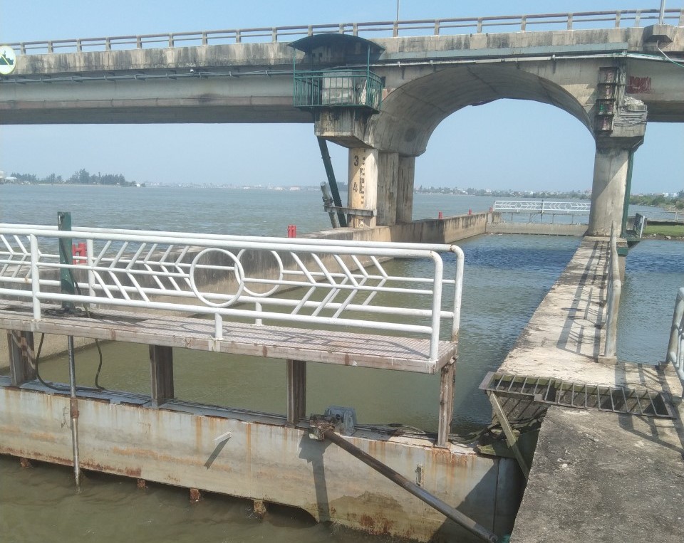 Chuẩn bị phương án tiêu úng cho lúa đông xuân