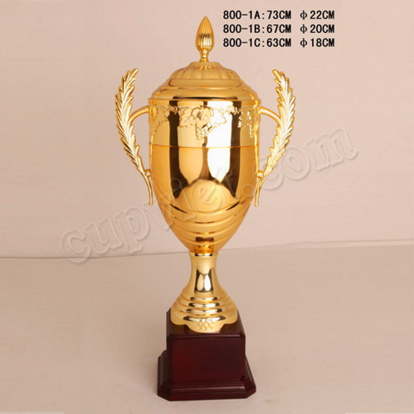 cung cấp cúp đồng giải thưởng, cúp đá bóng, cúp giải thể thao