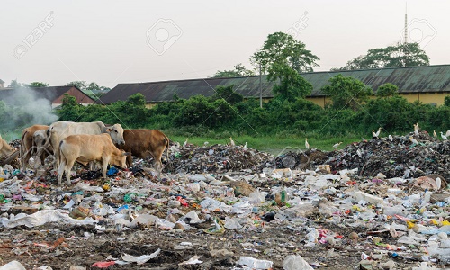 Bảo vệ môi trường như thế nào