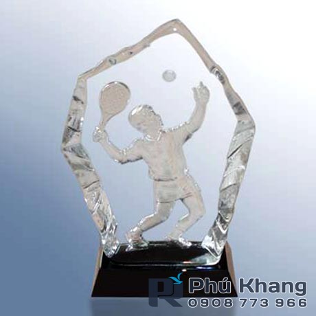 Sản xuất kỷ niệm chương pha lê, kỷ niệm chương quà tặng tết, quà để bàn