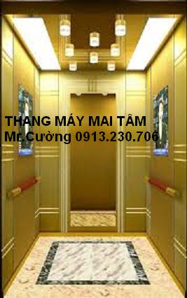 Sửa chữa lắp đặt bảo trì thang máy gia đình.