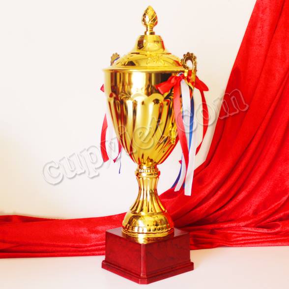 cung cấp cúp hội nghị,sản xuất cúp thể thao,cúp đồng mạ vàng bạc,cúp giải vô địch,cơ sở đúc cúp đồng