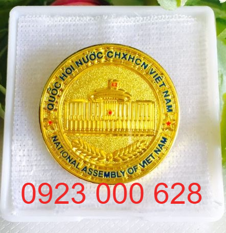 Đúc huy hiệu công ty, logo cài áo bằng đồng, logo ngày thành lập