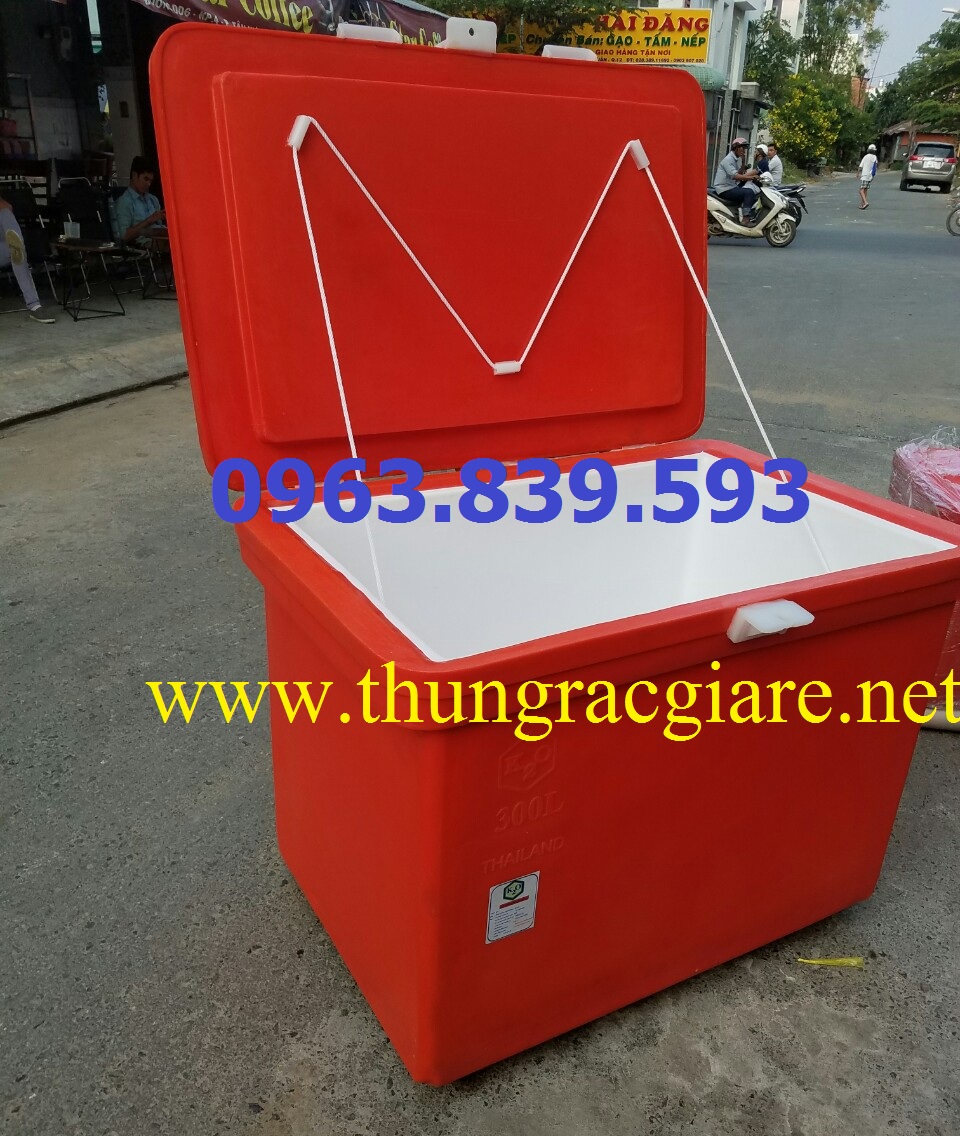 Tuyển đại lý cung cấp thùng giữ lạnh thái lan 300L giao hàng miễn phí