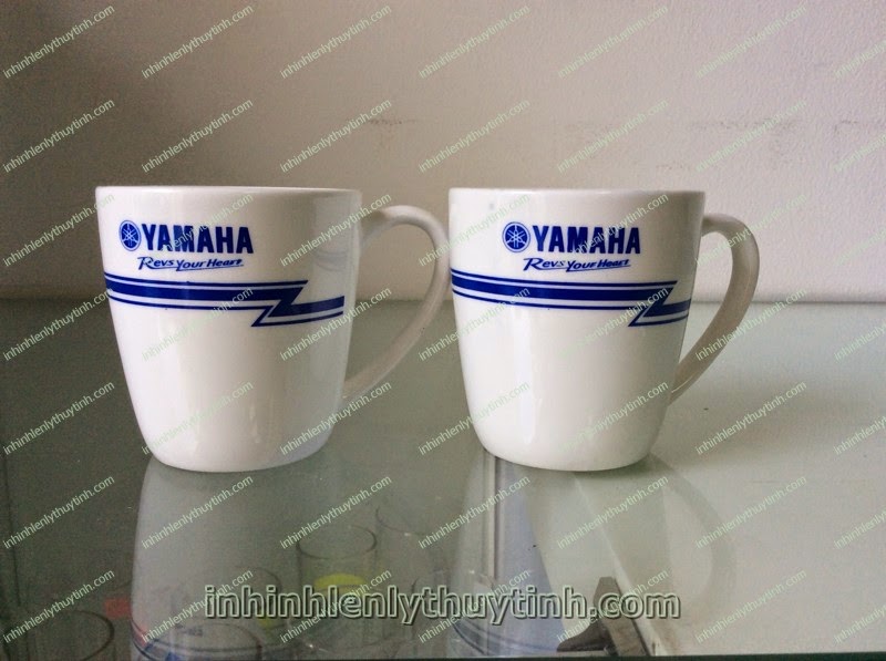 Cung cấp ly sứ chất lượng, cung cấp ly sứ cao cấp,