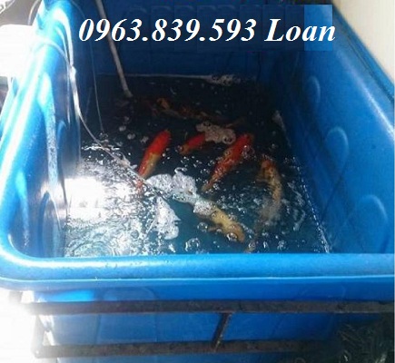 Cung cấp thùng nhựa chữ nhật dung tích 300L, 500L nuôi cá giá rẻ nhất.