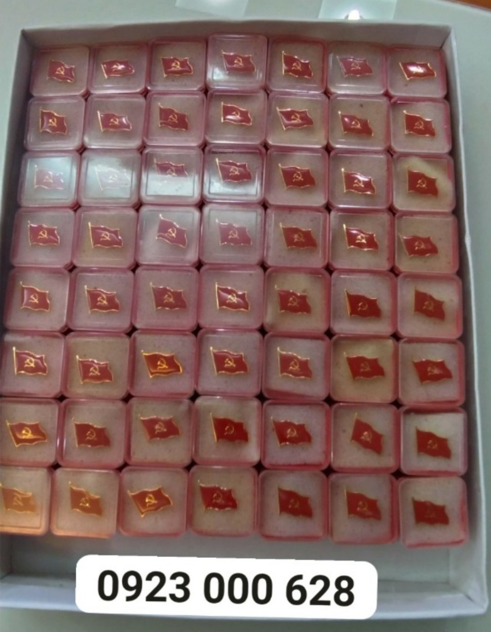 Làm huy hiệu hội đồng, Huy hiệu đại hội Đảng bộ, Huy hiệu lá cờ