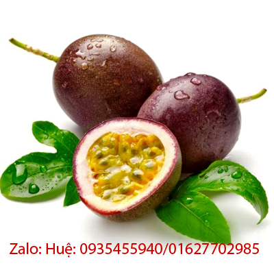 Si lẻ bơ sáp, sầu riêng, chanh dây Đà Lạt TOÀN QUỐC