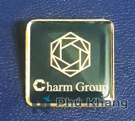 Pin cài áo kim loại mạ vàng, huy hiệu nikel cài áo